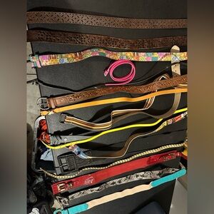 Colorful Belt Collection